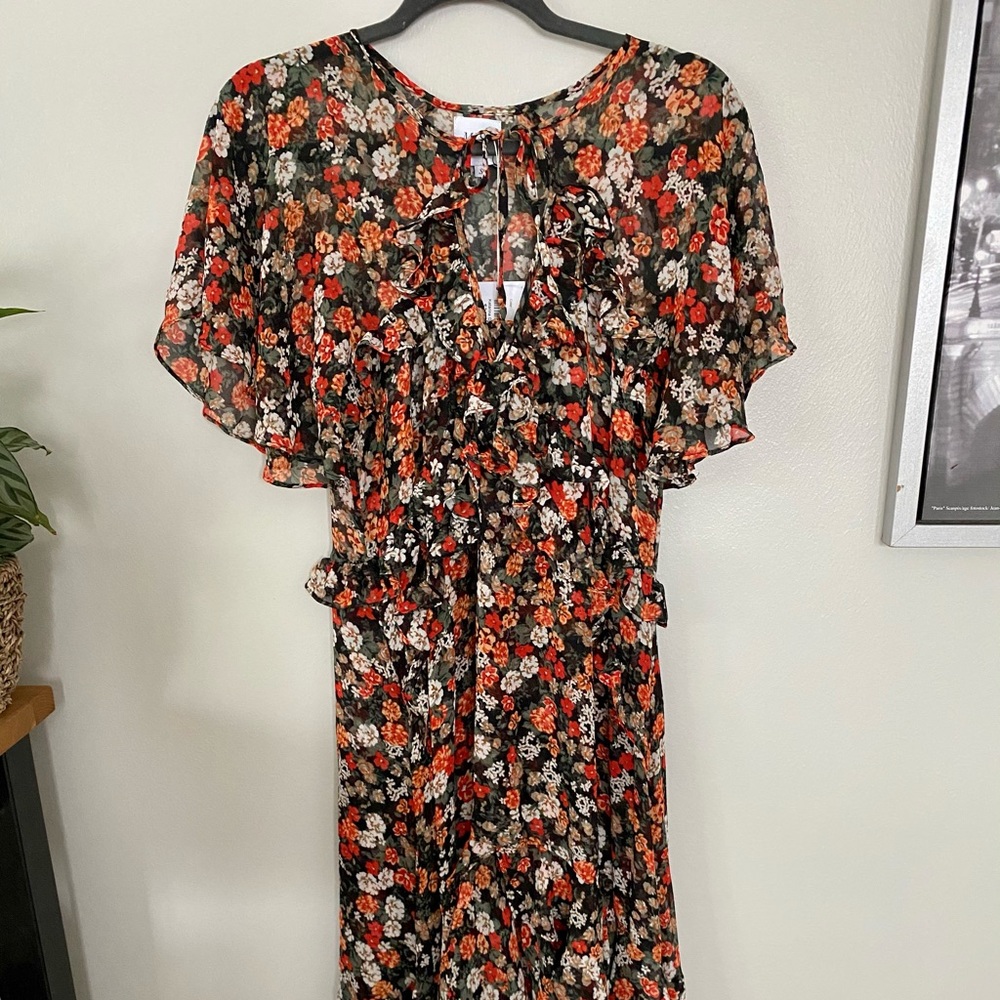 Misa Designer Sheer Dress